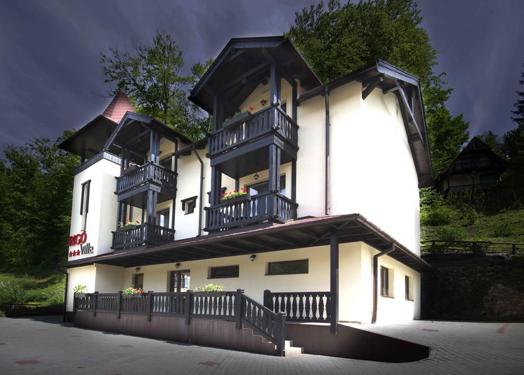 Vila Rigo Sovata Bilik gambar