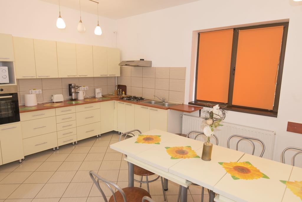 Vila Rigo Sovata Luaran gambar